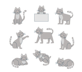 Set of gray cats in different poses isolated on white background. Cats cliparts. Vector flat illustration.