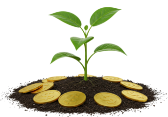 Isolated Small Plant Sprouting from Pile of Gold Coins