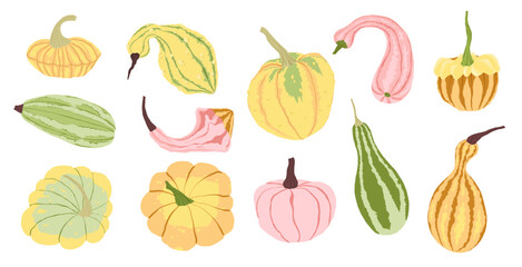 Colorful hand drawn pumpkin collection in various shapes and colors. Decorative autumn vegetables are perfect for Thanksgiving, harvest, Halloween and seasonal design. Illustration on white background