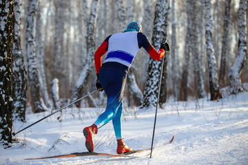 rear view skier in birch forest at ski racing competition