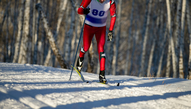 skier goes classic style in birch forest at ski racing competition