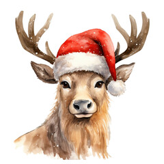 Merry Christmas concept holiday vacation winter isolated on transparent background