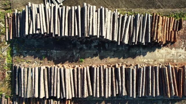 Aerial top view log storage for sawn timber for export or construction of wooden houses, lumberjack port business.