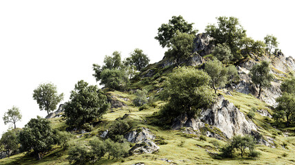 Obraz premium Grassy hill with trees and rocks isolated on transparent background