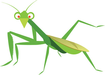 Close-up of a Praying Mantis on Green Leaf in Natural Habitat, Isolated Insect Macro Shot, Wildlife Photography for Educational, Scientific, and Nature-Themed Micro stock Use