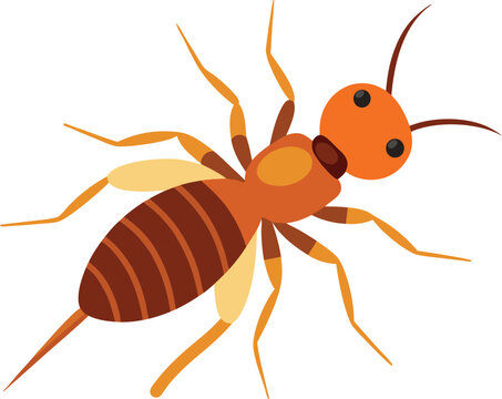 Close-up macro image of termite insect on wood surface, pest control concept, destructive wood-eating bug for agricultural, environmental, and home infestation-related stock content.