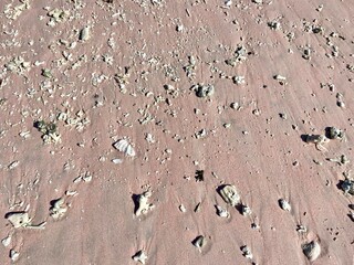 Pink sand background with scattered corals.