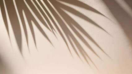 Obraz premium Palm Tree Shadows Cast on White Wall – Minimal Summer Scene