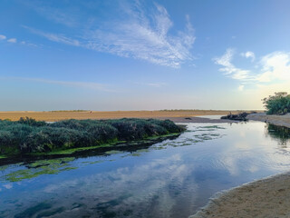 Shallow water in the Ria Formosa between vegetation and sand at sunset in Cacela Velha, Algarve PORTUGAL