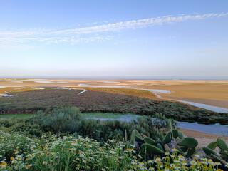 Landscape at Cacela Velha beach with Ria Formosa in water terraces on the sand and sea on the...