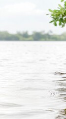 Gentle Water Ripples on a Serene Lake Surface: A Tranquil Nature Scene with Soft Light and Blurred Green Foliage Background