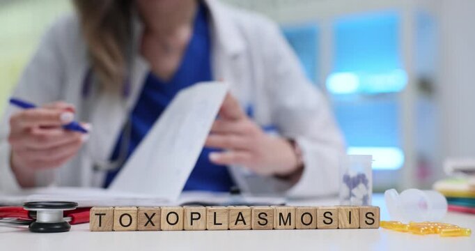 Word Toxoplasmosis made of wooden cubes stands in center of table. Female medical professional works with tools preparing for patient diagnosis