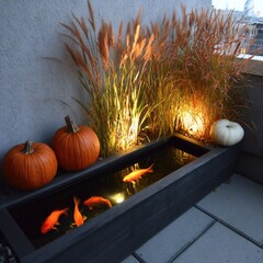 Urban balcony fish pond with pumpkins and grasses