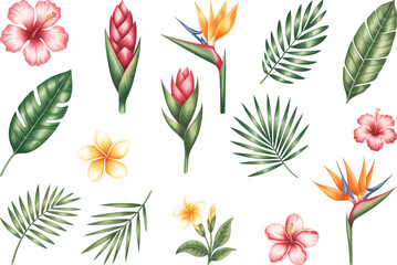 Fototapeta premium Tropical watercolor flowers and leaves with hibiscus and bird of paradise. Hand painted botanical exotic tropical blooms and palm leaves.