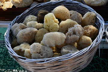 Natural sea sponge in a basket in a harbour in Greece