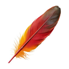 Vibrant bird feather, red, orange, and dark brown hues,  with a fine, textured barb