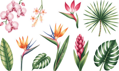 Tropical watercolor flowers and leaves with hibiscus and bird of paradise. Hand painted botanical exotic tropical blooms and palm leaves.