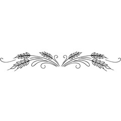Hand-drawn wheat ears decorative page divider, black outline, elegant floral sketch design
