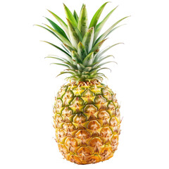 Fresh pineapple, whole, vibrant colors