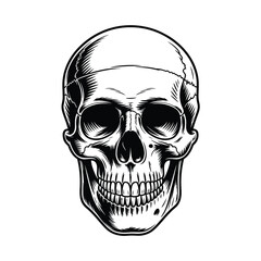 Detailed Skull Illustration in Black and White for Graphic Design