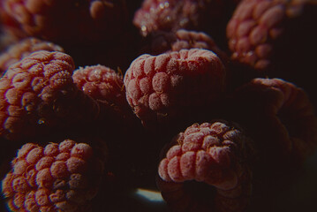 Close up shot of frozen raspberries covered in ice crystals surrounded with nostalgic chromatic...
