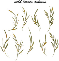 Watercolor Autumn Wild Leaves Set