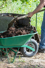 Homme remplissant une brouette verte avec une pelle de compost. Il creuse dans un bac de compost de jardin en extérieur rempli de déchets alimentaires. Promouvoir le recyclage durable.