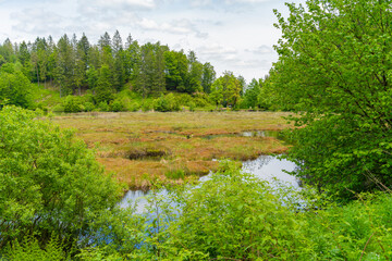 Nonnenmattweiher in Germany