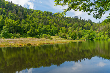 Nonnenmattweiher in Germany