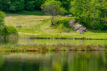 Nonnenmattweiher in Germany