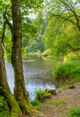 Nonnenmattweiher in Germany