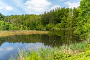 Nonnenmattweiher in Germany