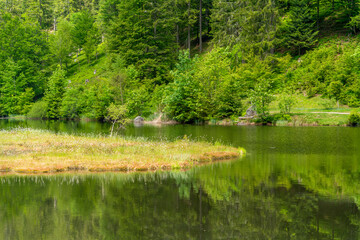 Nonnenmattweiher in Germany