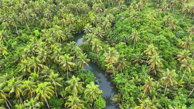 Blue boat travels along Maasin River surrounded by lush green palm trees in Siargao, Philippines, captured from above in a drone shot showing the winding waterway cutting through tropical vegetation.