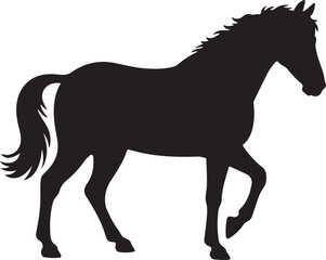 horse silhouette isolated on white