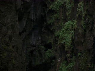 Felswand mit grüner Vegetation