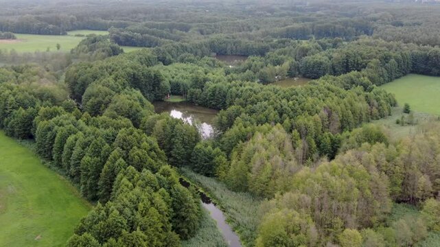 łąka las jezioro torfowisko natura polska z lotu ptaka dron