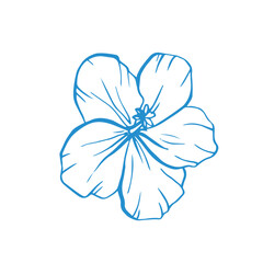 Hand drawn tropical vector flower, whimsical doodle illustration