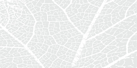 Eco bio natural leaf texture