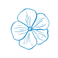 Hand drawn tropical vector flower, whimsical doodle illustration