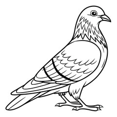 Fototapeta premium Black and White Line Drawing of a Pigeon Bird dove