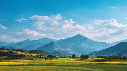 panoramic landscape of green fields for background