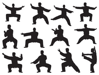 TAI CHI SILHOUETTE
