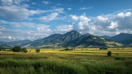 Naklejka premium panoramic landscape of green fields for background