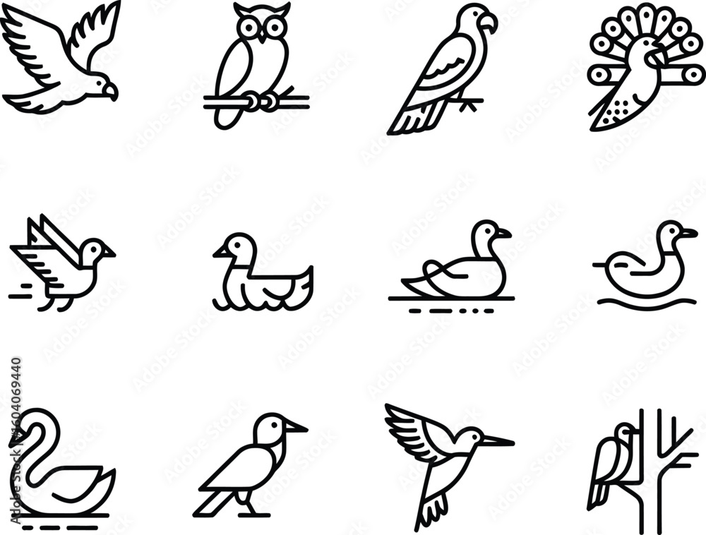 Poster collection of twelve different bird illustrations in a simple line art style