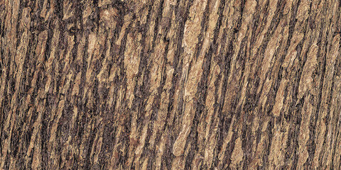 Texture of junipers Virginian bark old juniper tree skin