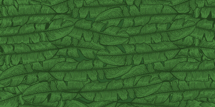 Tropical banana leaf seamless pattern jungle leaves background
