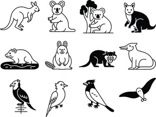 Fototapeta premium Collection of australian wildlife animals and birds hand drawn sketch style