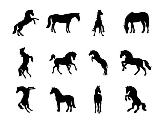 Collection of twelve horse silhouettes in various dynamic poses and actions isolated on white background