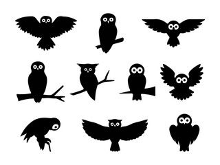 Collection of nine distinct owl silhouettes in various poses and actions isolated on white background silhouette
